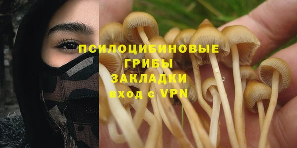 прущий лед Алексин