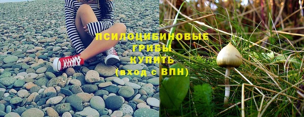 амф Алексеевка